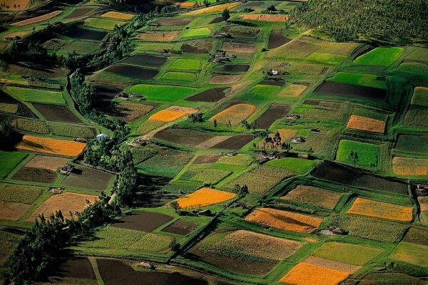 Providing Practical Farm Management Advice au Providing Practical Farm Management Advice au